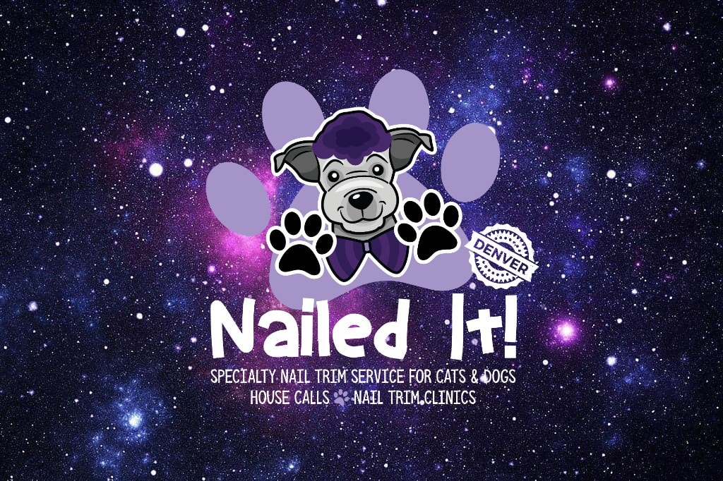 Nailed It logo on space background
