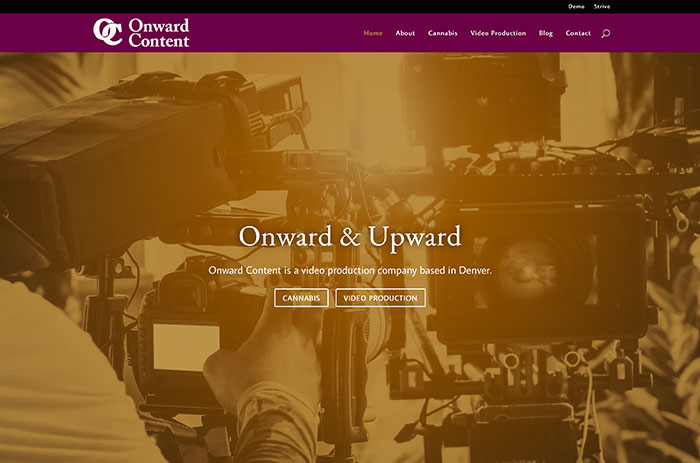 Onward Content Website hero section