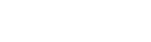 tech ladies logo