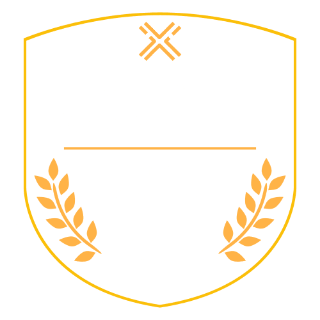 Top Rated Web Designer