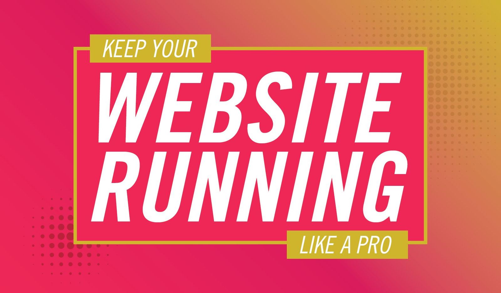 keep your website running like a pro