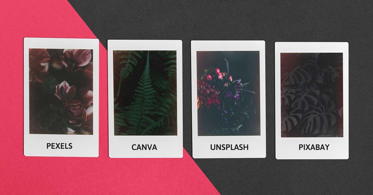Canva, Unsplash, pixabay, and pexels offer high-quality free stock photos for your website and buiness.