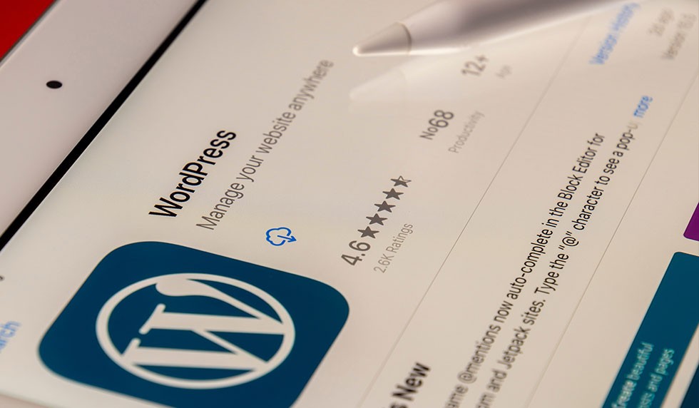 5 WordPress SEO Tips from the Specialists